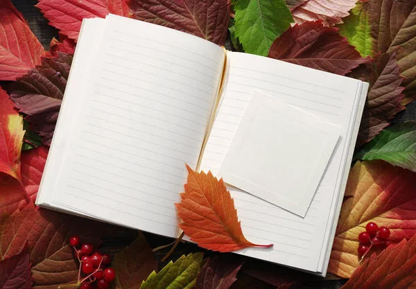 Ноутбук с пустыми страницами на осенних листьях — стоковое фото