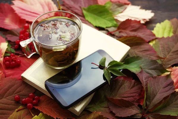Herbal tea in a glass transparent cup, book and smartphone on autumn leaves.