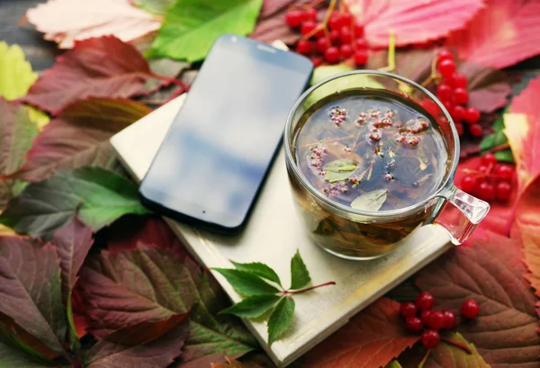 Herbal tea in a glass transparent cup, book and smartphone on autumn leaves.