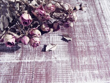 Ahşap dokusal arka plan üzerinde pembe Gül Kuru. 