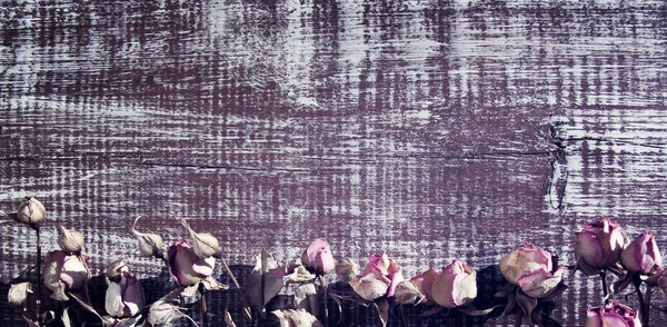 Сухі рожеві троянди на дерев'яному текстурному фоні . — стокове фото