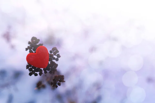 Coeur rouge sur fond de neige . — Photo