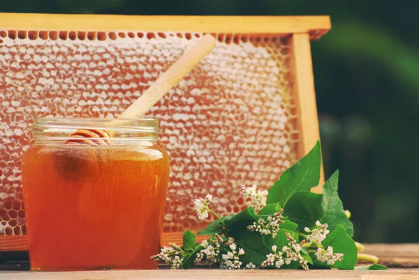  Çiçekler ve peteğin tatlım