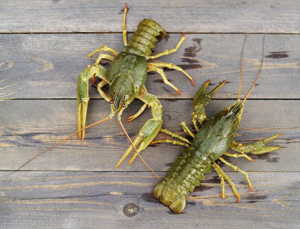 Live crayfish on a wooden surface of a table — Stock Photo, Image