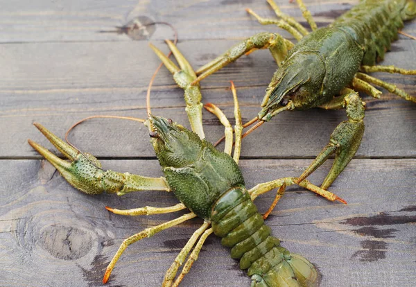 Live crayfish on a wooden surface of a table — Stock Photo, Image