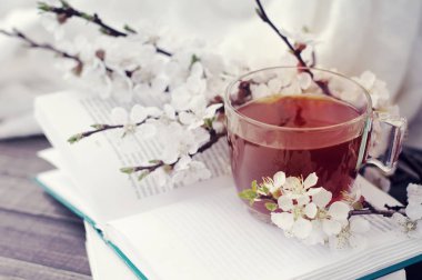 Fincan çay, açık kitap ve kayısı çiçek şube 