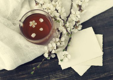 Fincan çay, boş eski fotoğraf ve kayısı çiçek şube 