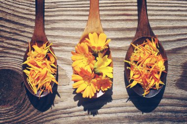Sarı çiçek ve yaprakları bir calendula dokusal ahşap yüzeye bir tahta kaşıklar içinde.