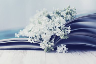 Açık kitap üzerine beyaz leylak buket. 