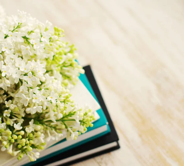 Bukett av en vit lila på böcker — Stockfoto