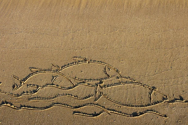 Dessin des poissons sur le sable marin . — Photo