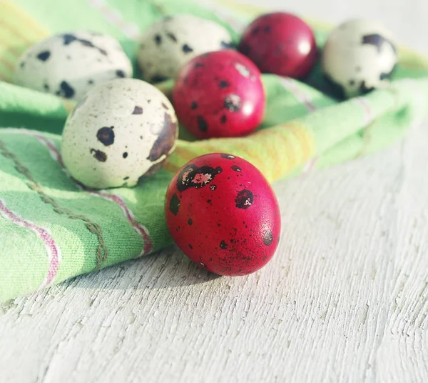 Easter quail eggs — Stock Photo, Image