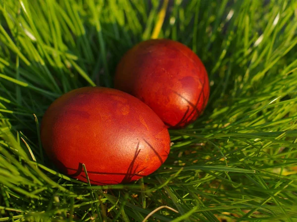 Ovos vermelhos de Páscoa em uma grama verde — Fotografia de Stock