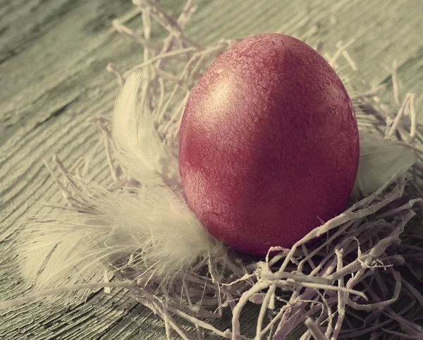 Easter egg in a decorative nest with feathers — Stock Photo, Image