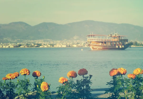 Paisaje marino con flores de verano de color amarillo brillante y el barco en la distancia — Foto de Stock