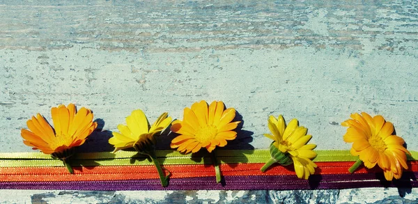 Las flores amarillas veraniegas de la caléndula sobre la superficie de madera. Flores de caléndula . — Foto de Stock