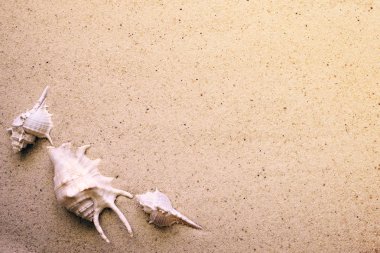 deniz kum üzerinde. 