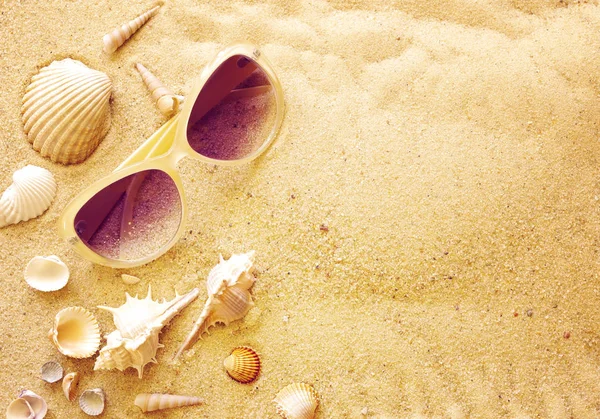 Conchas e óculos de sol na areia — Fotografia de Stock