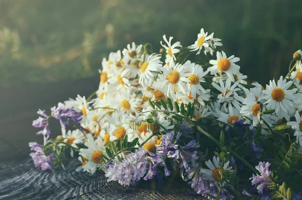 Bouquet de camomilles de champ sur fond de bois . — Photo