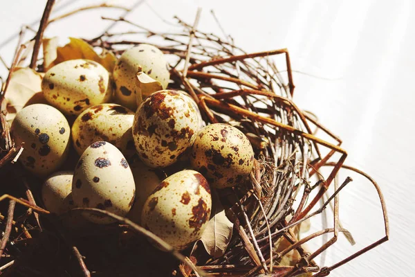 Куриные яйца в декоративном гнезде на деревянном белом столе . — стоковое фото
