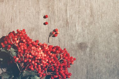 Eski ahşap arka plan üzerinde kırmızı kartopu demet