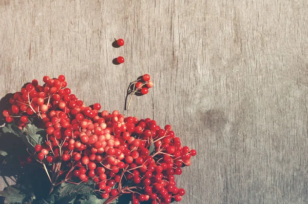 Bunch of red viburnum on old wooden background — Stock Photo, Image