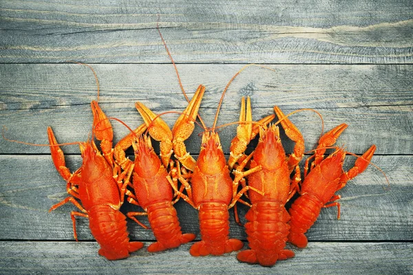 Red boiled crawfish — Stock Photo, Image