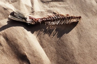 Balık kemik. Kemik kağıt üzerinde kuru tuzlu balık yemiş çevresinde