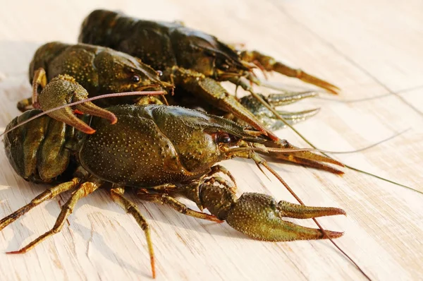 Live crayfish on a wooden surface of a table — Stock Photo, Image