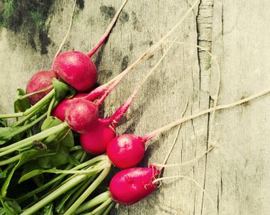 Demet taze sulu Bahçe turp 