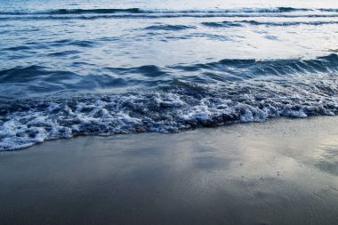 Deniz, plaj ve dalgalar.