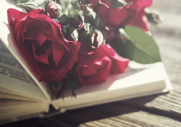 Садовые розы и открытая книга — стоковое фото