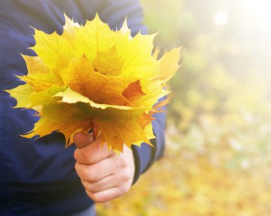 Bir elinde buket sonbaharın sarı yaprakları. 
