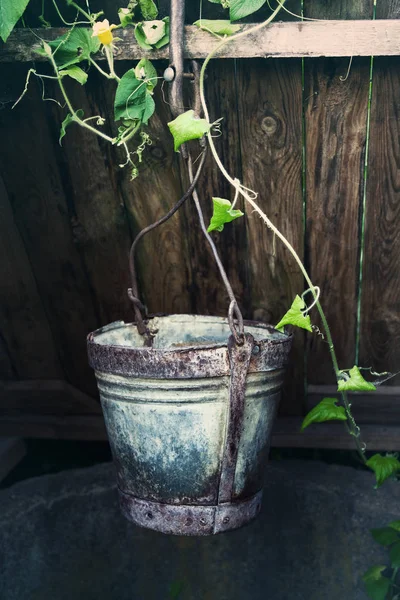 Eski demir kova kırsal alanlarda ahşap bir kuyu içinde