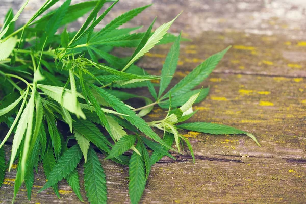 Cannabisblatt auf einer alten Holzoberfläche — Stockfoto