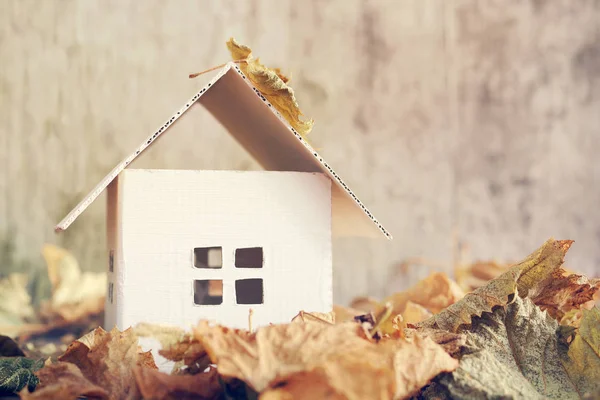 Модель картонного будинку в яскраво-жовтому осінньому листі — стокове фото
