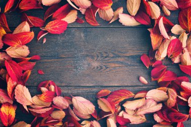 Tahta üzerinde renkli yapraklar olan sonbahar arkaplanı