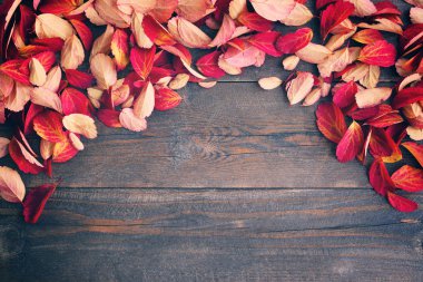 Tahta üzerinde renkli yapraklar olan sonbahar arkaplanı