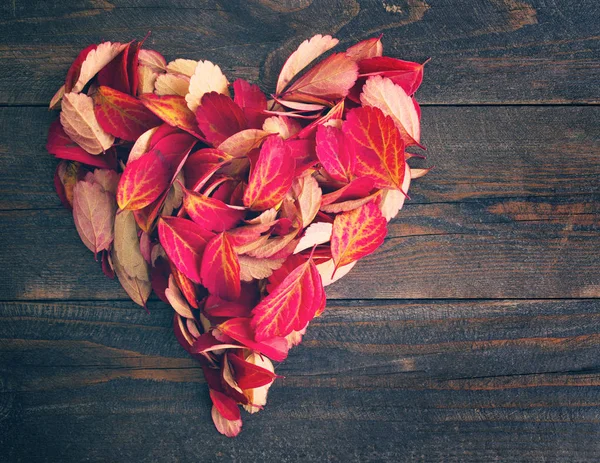 Vintage tonlarda ahşap bir tahta üzerinde kalp şeklinde kırmızı sonbahar yaprakları — Stok fotoğraf