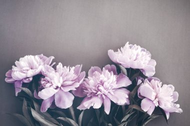 Pastel renkli pembe şakayık buketi, düz bir manzarası var. Çiçek arka planı