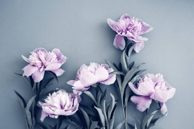 Pastel renkli pembe şakayık buketi, düz bir manzarası var. Çiçek arka planı