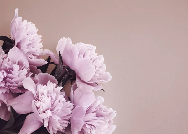 파스텔 분홍색 꽃들의 평면도로 수있다 — 스톡 사진