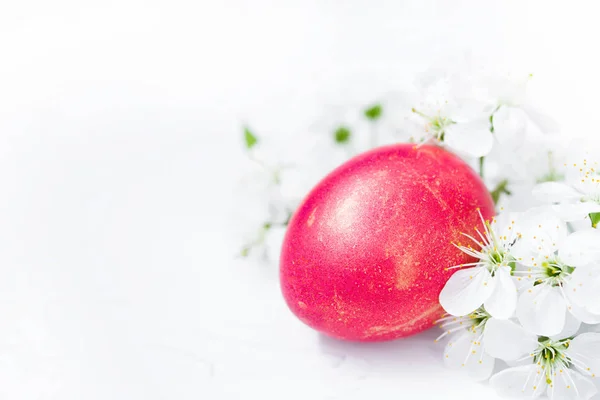 Antecedentes Ovo Páscoa Vermelho Flores Brancas Primavera Fundo Branco Close — Fotografia de Stock