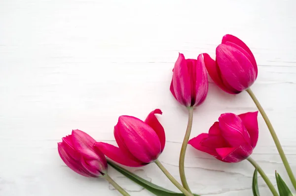 Bouquet Pink Tulips White Wooden Background Top View — ストック写真