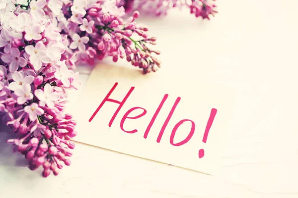 Text Hello White Card Lilac Flowers White Wooden Table Surface — 스톡 사진