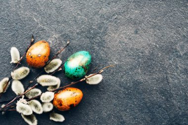 Paskalya geçmişi. Parlak yeşil ve turuncu paskalya bıldırcın yumurtaları ve kabarık söğüt dalları siyah arka planda, üst manzara.