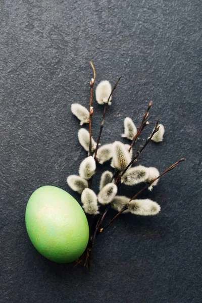 Easter Background Fluffy Willow Branches Bright Green Easter Egg Black — Stock Photo, Image