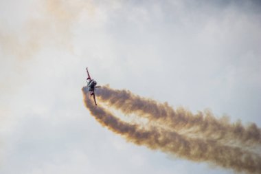 derin gökyüzü sinek