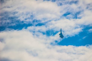 derin gökyüzü sinek