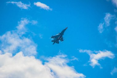 derin gökyüzü sinek